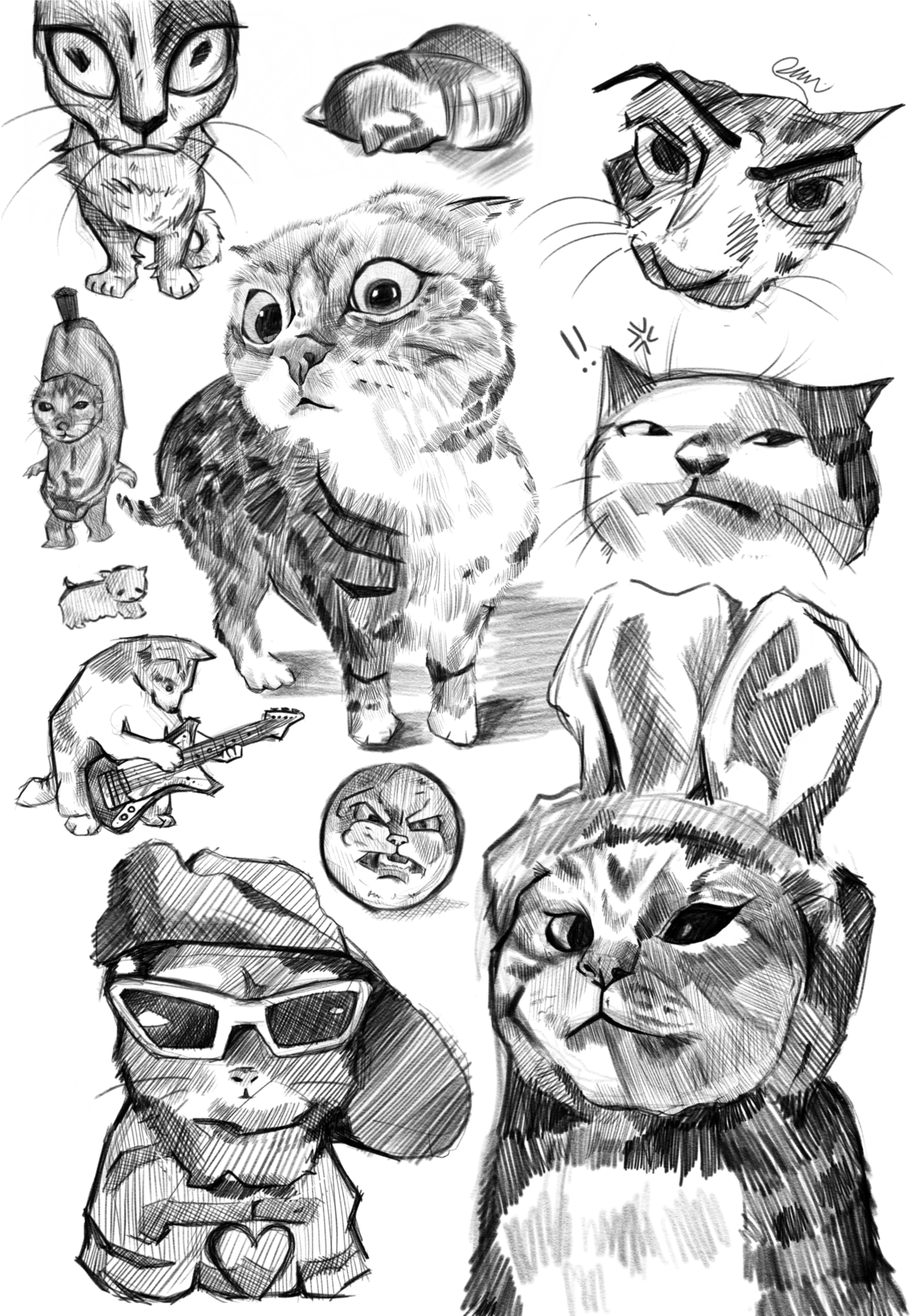 Cat Memes - Print (A5)